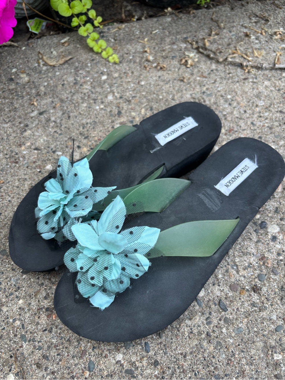 Steve Madden Black Sandals with Aqua Floral Embellishments